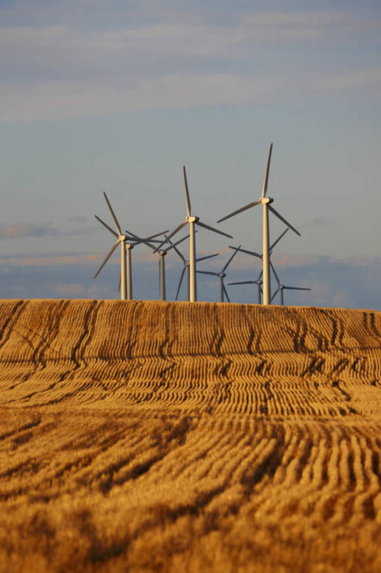 无人,竖图,室外,白天,农业,小麦,技术,美国,环保,风力,田地,摄影,能源,电,电源,回收,资源,反差,利用,低碳,循环,替代能源,科罗拉多州,持续,风轮机,彩图,冬小麦