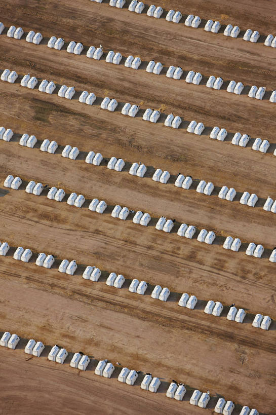 无人,农场,竖图,俯视,航拍,室外,白天,农业,牛,美国,塑胶,动物,家畜,摄影,鸟瞰,小牛肉,科罗拉多州,母牛,彩图,高角度拍摄,肉类联合加工厂