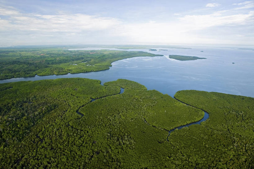 无人,码头,横图,俯视,航拍,室外,白天,海洋,河流,马来西亚,亚洲,地形,树,小溪,自然,摄影,东南亚,沼泽,鸟瞰,婆罗洲岛,马来西亚联邦,沙巴州,彩图,高角度拍摄,河口