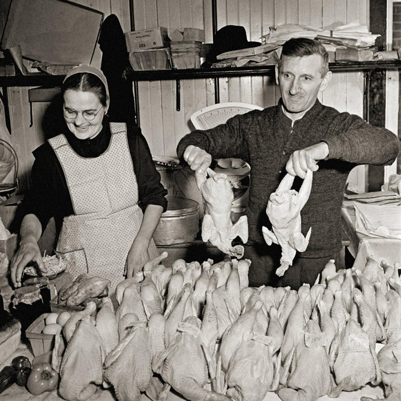 成年人,中年人,两个人,丈夫,妻子,农民,方图,黑白,室内,商务,农业,美国,家禽,摄影,贩卖,宾夕法尼亚,男性,女性,中年男性,中年女性