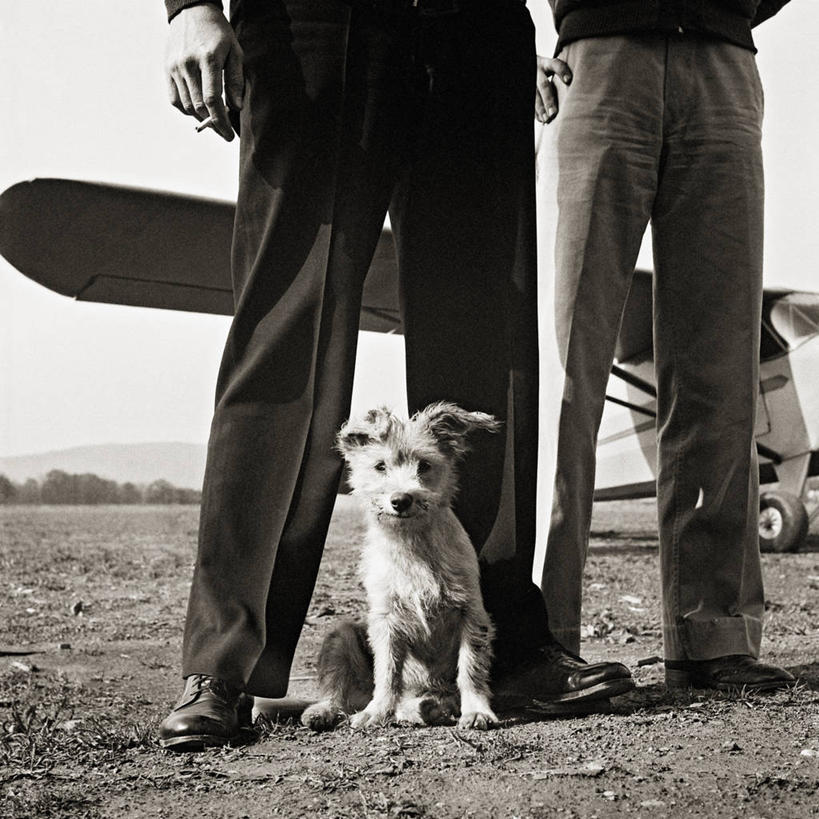 两个人,方图,黑白,室外,白天,宠物,狗,美国,梗犬,动物,家畜,摄影,肖像,马里兰,弗雷德里克