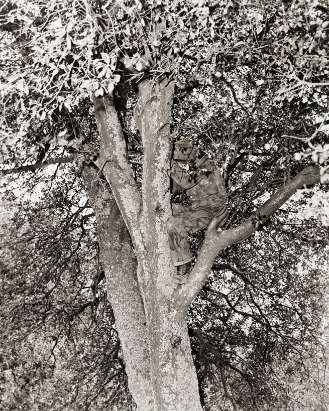 成年人,中年人,一个人,竖图,黑白,室外,白天,美国,仅一个男性,仅一个人,仅一个中年男性,士兵,朦胧,模糊,军事,树,战争,摄影,加利福尼亚,狙击手,萨克拉门托,男人,男性,中年男性