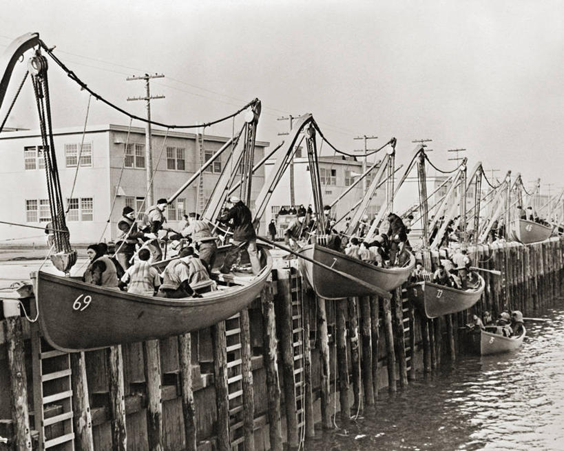 成年人,中年人,水手,码头,横图,黑白,室外,白天,纽约,美国,工作,许多人,教育,一群人,运输,摄影,救生艇,年轻男性,中年男性,年轻人,学员