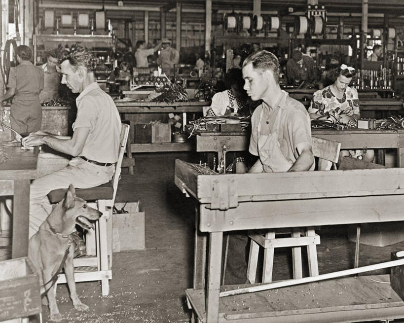 成年人,中年人,两个人,工厂,横图,黑白,室内,生产线,狗,摄影,男人,年轻男性,中年男性,年轻人