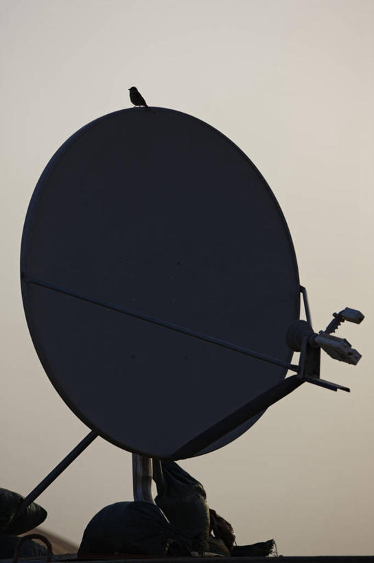 无人,竖图,室外,白天,通讯,卫星,阿富汗,鸟类,摄影,幽默,剪影,反差,卫星天线,彩图,动物行为,空间探索