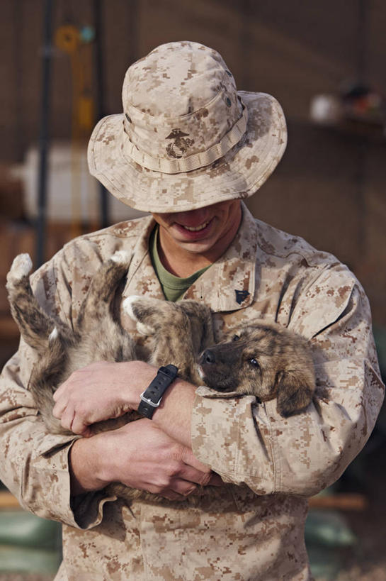 成年人,一个人,微笑,竖图,室外,白天,友谊,纯洁,狗,阿富汗,仅一个男性,仅一个人,连接,小狗,联系,仅一个年轻男性,动物,可爱,童年,童趣,摄影,惊奇,幽默,安慰,住房,关爱,童真,烂漫,无邪,援救,天真,男人,男性,年轻男性,年轻人,拥抱,彩图,爱,美国海军陆战队,流浪动物