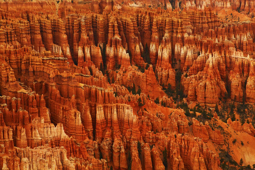 无人,横图,室外,白天,石头,沙漠,红色,摄影,岩层,犹他,布莱斯峡谷国家公园,猪鬃,岩石,彩图