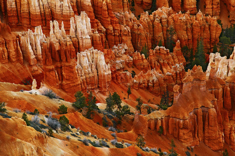 无人,横图,室外,白天,石头,沙漠,红色,摄影,岩层,犹他,布莱斯峡谷国家公园,猪鬃,岩石,彩图