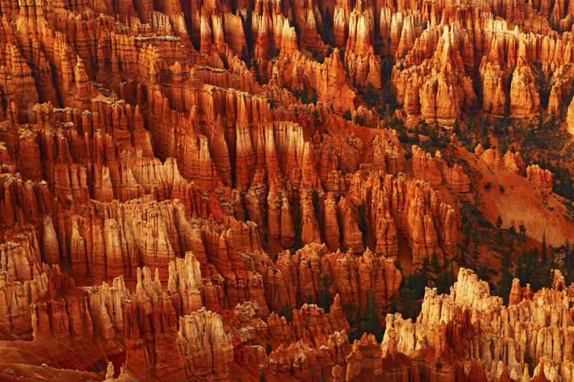 无人,横图,室外,白天,石头,沙漠,红色,摄影,岩层,犹他,布莱斯峡谷国家公园,猪鬃,岩石,彩图