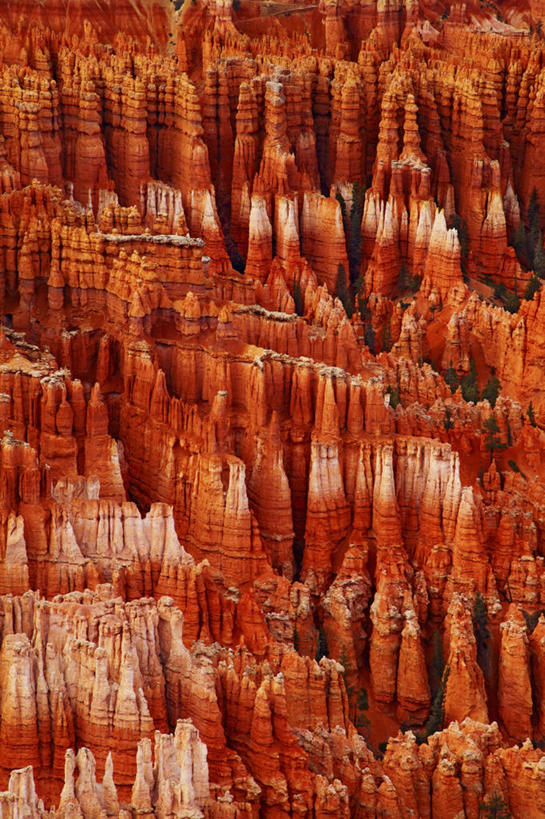 无人,竖图,室外,白天,石头,沙漠,红色,摄影,岩层,犹他,布莱斯峡谷国家公园,猪鬃,岩石,彩图