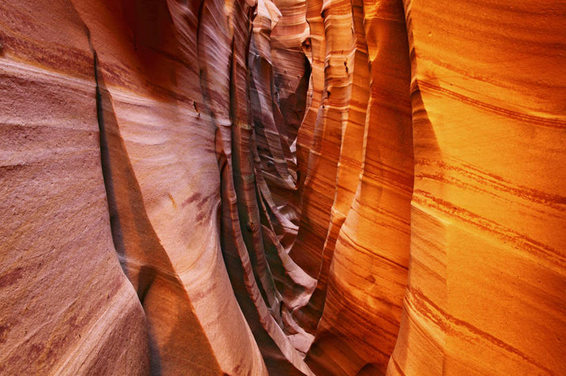 无人,横图,室外,白天,沙漠,条纹,红色,摄影,岩层,犹他,大楼梯国家纪念碑,岩石,彩图