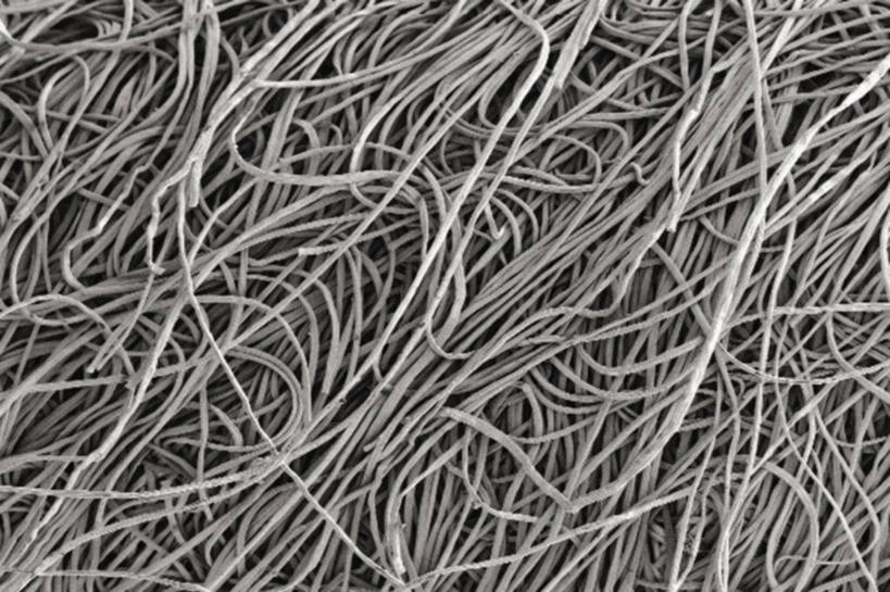 无人,横图,黑白,化妆,美容,仪器,护肤,检查,反射,分析,科学,显微镜,化妆棉,化妆品,观察,保养,享受,休闲,放松,清晰,探索,保健,摄影,放大,观看,仔细,纤维,透镜,凸透镜,聚焦,化妆用品,关注,养颜,光学,清楚,扫描电镜,扫描电子显微镜