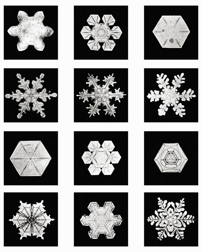 无人,竖图,黑白,微距,美国,标志,格子,六边形,数字,文字,字符,冰,雪花,标识,冰晶,摄影,阿拉伯数字,北美,北美洲,美洲,佛蒙特州,佛蒙特,绿岭之州,北亚美利加洲,亚美利加洲,美利坚合众国,耶利哥