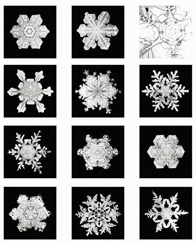 无人,竖图,黑白,微距,美国,标志,格子,六边形,数字,文字,字符,冰,雪花,标识,冰晶,摄影,阿拉伯数字,北美,北美洲,美洲,佛蒙特州,佛蒙特,绿岭之州,北亚美利加洲,亚美利加洲,美利坚合众国,耶利哥