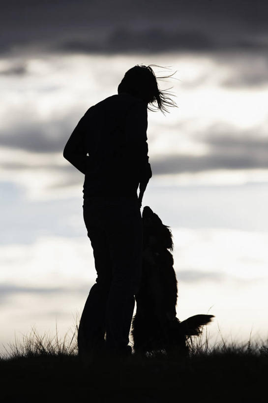 成年人,一个人,站,竖图,室外,白天,留白,通讯,友谊,日落,风,宠物,狗,美国,仅一个女性,尾巴,联系,黄昏,动物,靠,靠着,摄影,安慰,剪影,边境牧羊犬,澳大利亚牧羊犬,科罗拉多州,女人,拥抱,彩图,爱,动物行为