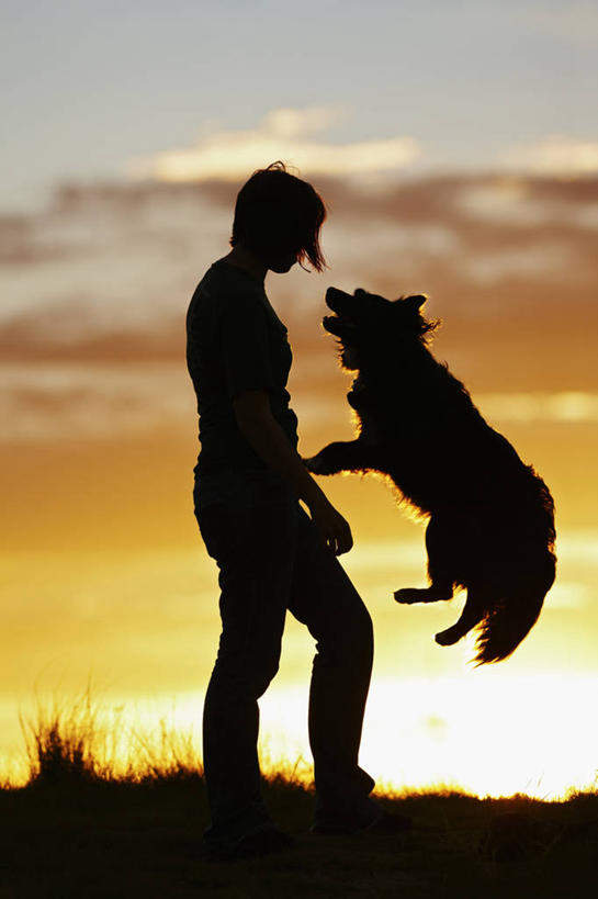 成年人,一个人,跳,竖图,室外,白天,锻炼,快乐,通讯,友谊,比赛,运动,竞争,日落,宠物,狗,美国,仅一个女性,朦胧,模糊,联系,娱乐,动物,休闲,摄影,体育运动,剪影,想象,边境牧羊犬,马槟榔,澳大利亚牧羊犬,科罗拉多州,体育,女人,彩图,健身,爱,动物行为