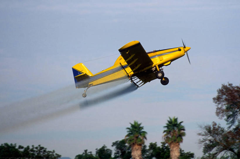 无人,飞行员,横图,室外,白天,侧面,旅游,度假,农业,机器,美景,树林,飞机,棕榈树,喷,肥料,景观,横幅,螺旋桨,着陆,旋转,娱乐,飞,黄色,自然,享受,休闲,机械,景色,放松,摄影,落下,迅速,飞行器,准确,北美,加利福尼亚,自然风光,起落架,喷雾器,勇气,稳定,危险,彩图,韧性,共生关系