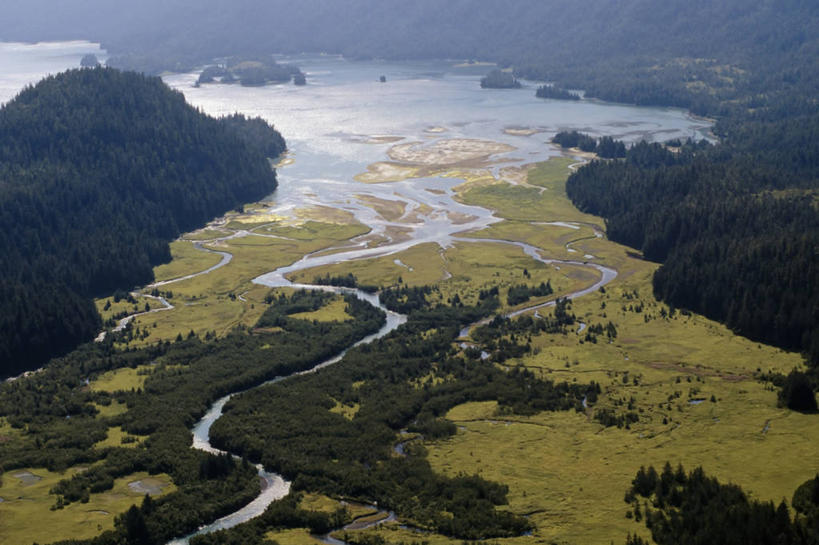 无人,横图,俯视,航拍,室外,白天,森林,美国,地形,摄影,鸟瞰,瓦尔迪兹,自然地理,彩图,高角度拍摄,水污染