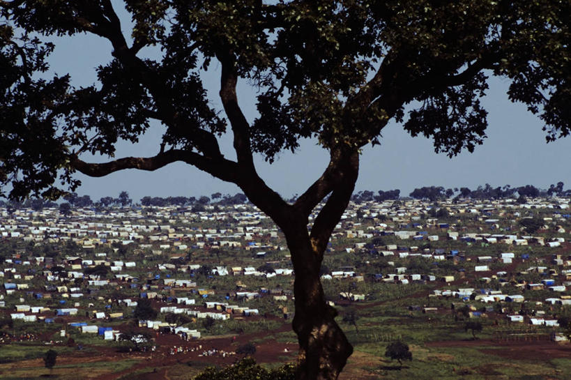 无人,横图,室外,白天,旅游,度假,非洲,坦桑尼亚,帐篷,娱乐,树,享受,休闲,放松,摄影,露营,野营,宿营,难民,彩图,难民营