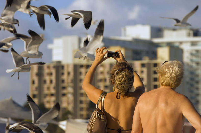 成年人,中年人,两个人,横图,室外,白天,泳装,度假,满意,海洋,水,海鸟,海鸥,野生动物,日光,美国,鸟类,沙子,光,拍照,背面,衣服,动物,大西洋,摄影,水禽,北美,气候,北美洲,美洲,佛罗里达,迈阿密,迈阿密海滩,南部海滩,北亚美利加洲,亚美利加洲,男人,男性,女人,女性,中年女性,海滩,休闲活动,彩图,旅行,美利坚合众国,紫外线辐射