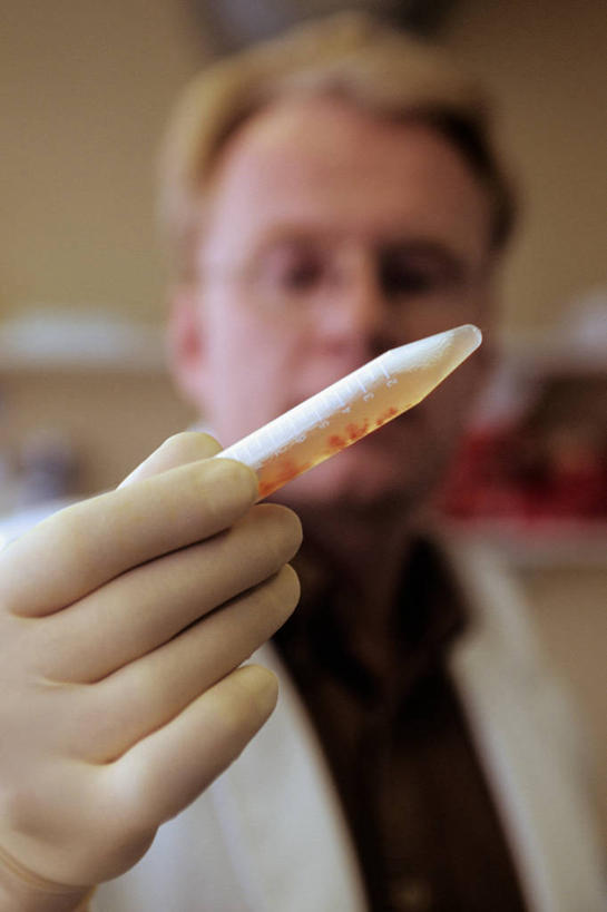 手,竖图,工作服,制服,安全,分子,欧洲,冰岛,研究,科学,试管,防护,首都,拿着,衣服,手套,摄影,保护,遗传研究,脱氧核糖核酸,西欧,北欧,保险,防护服,保全,周全,安稳,安定,防护手套,工作制服,雷克雅未克,平安,彩图,工作套服