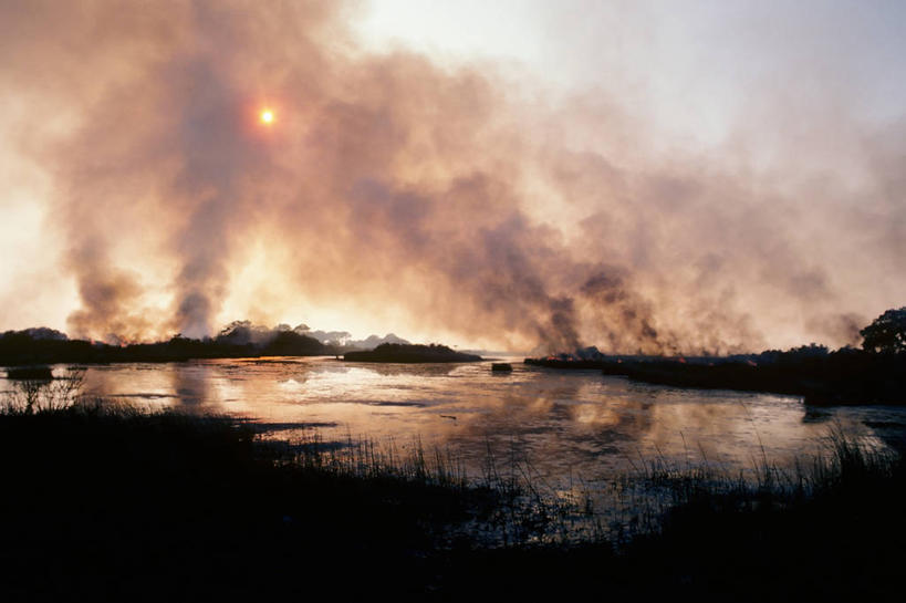 横图,室外,白天,美国,平原,摄影,环境,沼泽,北美,北美洲,美洲,北亚美利加洲,亚美利加洲,维吉尼亚,潘塔纳尔湿地,维吉尼亚海滩,彩图,美利坚合众国