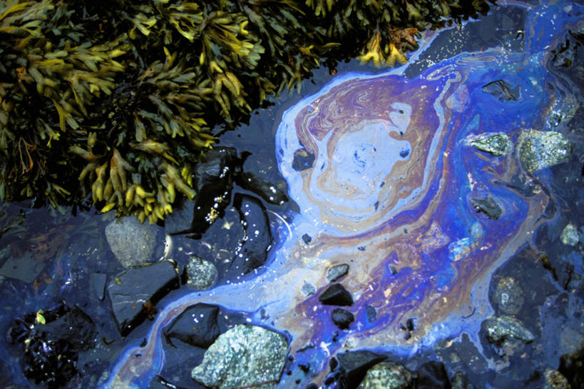 无人,横图,室外,白天,石油,水,美国,摄影,环境,污染,彩图