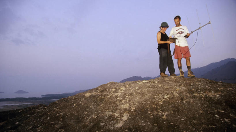 西方人,成年人,中年人,两个人,横图,室外,白天,旅游,度假,通讯,野生动物,印度尼西亚,欧洲,欧洲人,科学,岛,娱乐,享受,休闲,放松,摄影,东南亚,环境,生态,生物学,搜寻,志愿者,科莫多巨蜥,无线电波,男人,女人,中年男性,中年女性,白种人,岩石,彩图,动物学