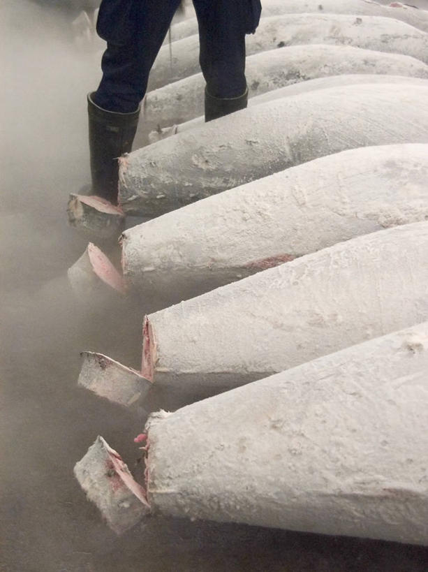 东方人,成年人,腿,一个人,鱼贩,站,竖图,室内,雾,亚洲,一排,准备,整齐,工作,雨鞋,食品,首都,鲔鱼,黄种人,排列,寒冷,摄影,死亡,队列,筑地市场,亚洲人,彩图