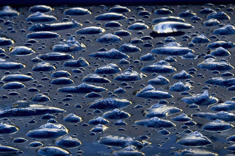 无人,横图,室外,特写,白天,抽象,水,湿,水滴,摄影,放大,防水,肌理,冷凝,彩图