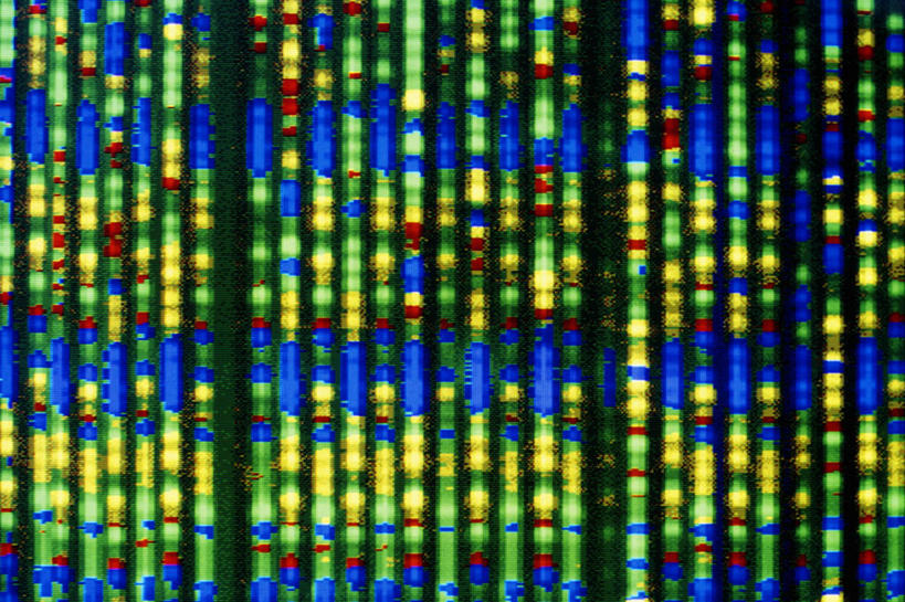 无人,横图,特写,技术,美国,一排,整齐,科学,排列,个性,摄影,遗传研究,生物学,脱氧核糖核酸,队列,蛋白质,身份,马里兰,式样,彩图