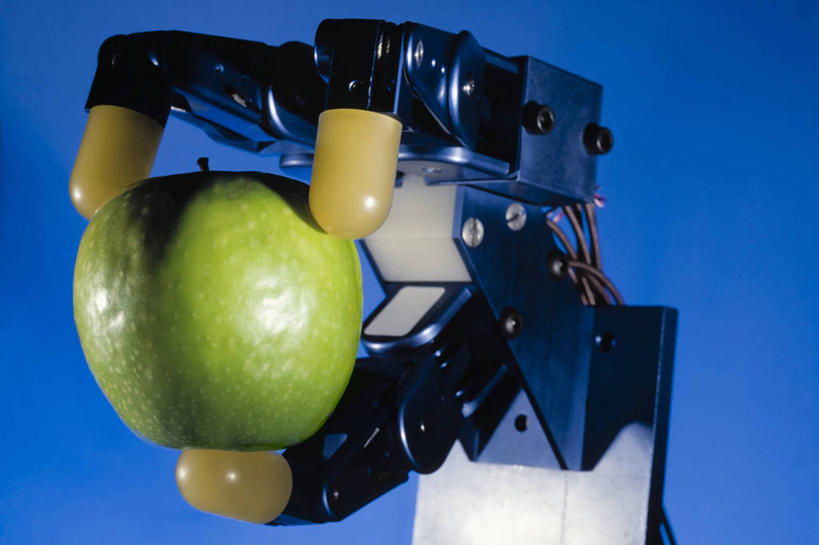 手,无人,横图,室内,特写,智慧,技术,苹果,水果,美国,拿着,饮食,两个,遥控器,青苹果,手指,摄影,爪,抗议,工程,机器人,波士顿,马萨诸塞,技能,机件,设计,彩图,影棚拍摄