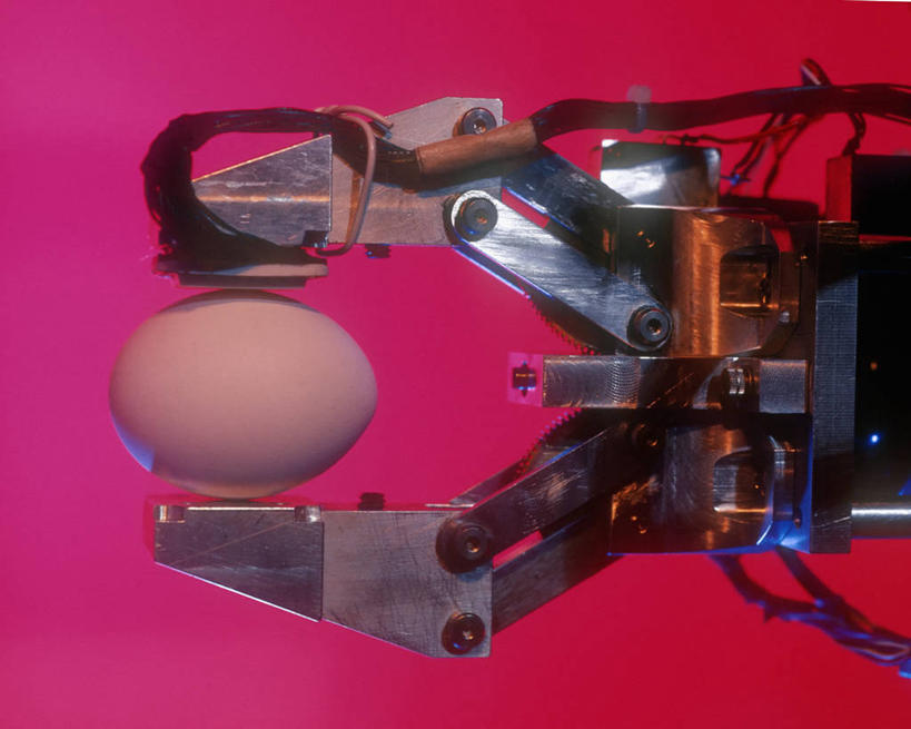 无人,横图,室内,技术,美国,电缆,鸡蛋,拿着,饮食,摄影,爪,脆弱,机器人,创新,马萨诸塞,机件,彩图,影棚拍摄,机械工人