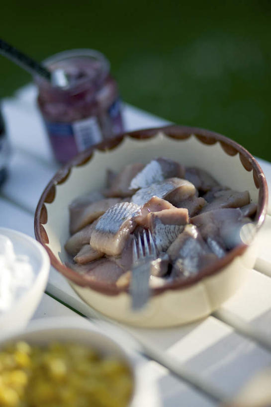 海鲜,无人,竖图,俯视,室外,白天,餐桌,桌子,切片,阴影,朦胧,模糊,光线,影子,陶瓷,陶瓷制品,水产,海洋生物,阳光,容器,碗,餐台,储藏,鲱鱼,储存,水生动物,海产品,水生物,海底动物,太平洋鲱鱼,彩图,高角度拍摄,贮存