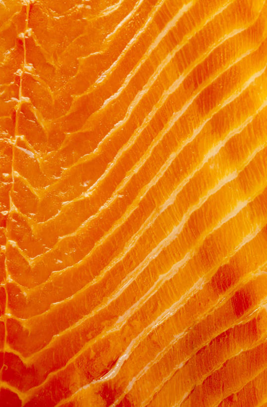 海鲜,三文鱼,无人,竖图,俯视,室内,白天,鲑鱼,水产,海洋生物,大马哈鱼,水生动物,海产品,水生物,海底动物,撒蒙鱼,萨门鱼,冰海之皇,鲑,马哈鱼,麻哈鱼,大麻哈鱼,彩图,高角度拍摄