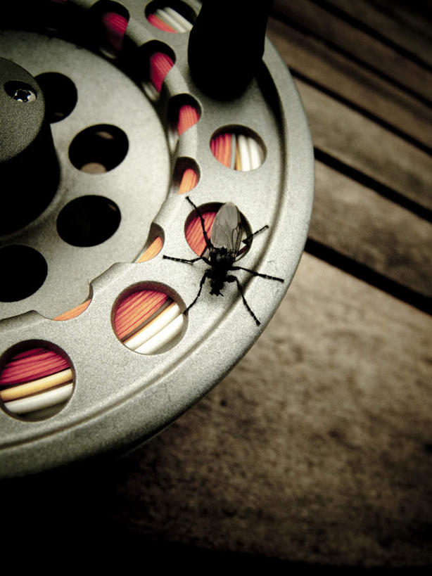 无人,竖图,俯视,室外,白天,旅游,度假,美景,地板,木制,景观,地面,娱乐,木地板,一个,自然,木制品,享受,休闲,景色,放松,单个,渔具,自然风光,鱼线轮,卷线器,彩图,高角度拍摄