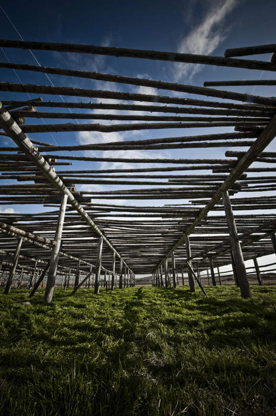 无人,竖图,室外,白天,仰视,旅游,度假,美景,许多,阴影,光线,密集,影子,景观,云,云朵,海苔,云彩,娱乐,架子,蓝色,绿色,白云,蓝天,天空,阳光,自然,天,享受,休闲,景色,放松,自然风光,鳞集,辘集,麋集,彩图,低角度拍摄