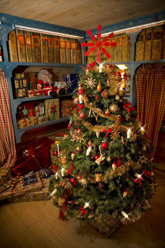 无人,竖图,俯视,室内,白天,植物,地板,礼盒,礼物,一排,许多,圣诞老人,吊挂,悬挂,阴影,丰富,整齐,装饰,光线,影子,纸盒,灯光,圣诞树,地面,很多,丰盛,挂,木地板,盒子,树,树木,排列,绿色,自然,包装盒,礼品盒,礼品,生长,成长,堆,华丽,修饰,点缀,队列,衬托,美观,雅致,雅观,丰硕,丰厚,富厚,厚实,彩图,高角度拍摄