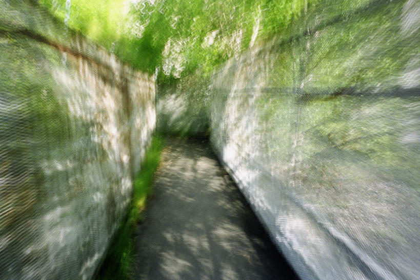 无人,栏杆,横图,室外,白天,正面,草地,草坪,美景,植物,道路,路,阴影,朦胧,模糊,平静,光线,影子,栅栏,墙,景观,篱笆,围栏,小路,交通,护栏,墙壁,墙面,草,树,树木,绿色,阳光,自然,景色,安静,生长,成长,宁静,静谧,自然风光,狭窄,沉静,恬静,安祥,僻静,清静,太平,局促,狭小,彩图