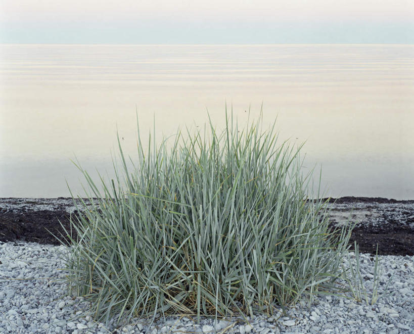 无人,横图,俯视,室外,白天,草地,草坪,海浪,海洋,石头,美景,植物,瑞典,欧洲,一堆,波纹,堆叠,堆积,平静,石子,景观,浪花,泥土,水平线,土壤,云,云朵,辽阔,海平线,云彩,草,蓝色,绿色,白云,蓝天,水纹,天空,自然,海水,波浪,天,广阔,景色,安静,晴朗,堆,宁静,一望无际,斯堪的纳维亚,静谧,自然风光,北欧,斯堪的纳维亚半岛,海景,沉静,恬静,安祥,僻静,清静,太平,哥得兰岛,哥得兰省,哥特兰,哥特兰省,瑞典王国,无边无际,一马平川,大海,风浪,海,海水的波动,近岸浪,石块,岩石,涌浪,晴空,彩图,高角度拍摄,水天相接,水天一线