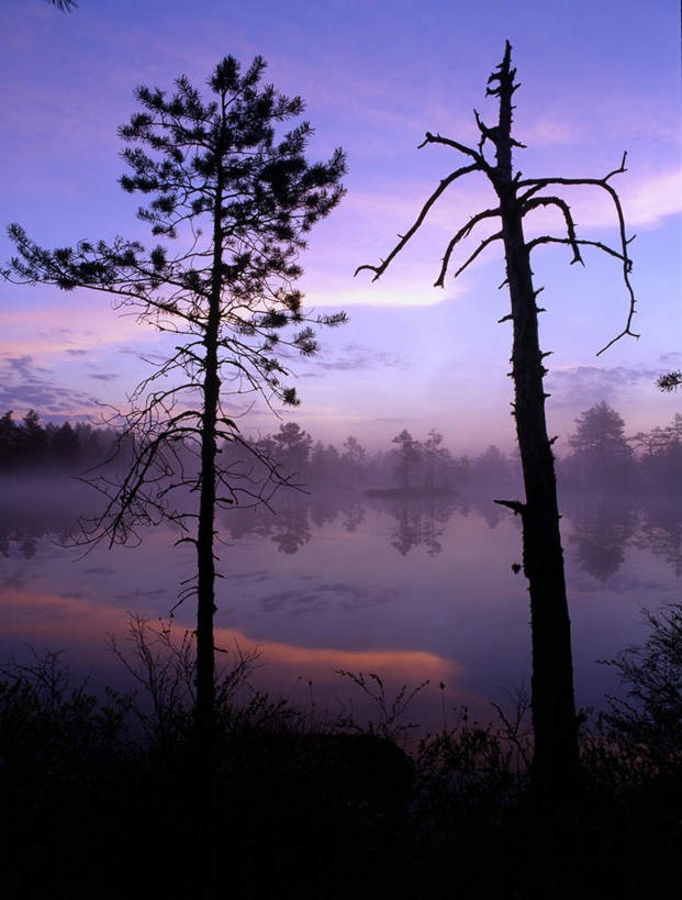 无人,竖图,室外,白天,正面,旅游,度假,日出,湖,湖泊,美景,森林,树林,水,太阳,植物,雾,松树,瑞典,欧洲,波纹,朦胧,模糊,湖面,景观,水流,水面,朝霞,晨曦,黎明,涟漪,娱乐,树,树木,绿色,倒影,水纹,阳光,自然,波浪,湖水,享受,休闲,景色,放松,生长,成长,迷雾,倒映,斯堪的纳维亚,自然风光,北欧,斯堪的纳维亚半岛,坚定,水晕,长寿,贞洁,瑞典王国,反照,朝阳,大雾,彩图,破晓