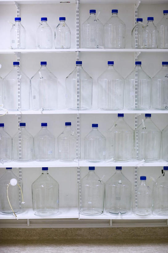 无人,竖图,室内,白天,正面,实验,柜子,一排,研究,整齐,科学,罐子,实验室,研究室,储物柜,玻璃制品,排列,玻璃瓶,瓶子,科研,储存,队列,化验,检验,研究所,化验室,检验室,储备,蕴藏,贮备,彩图,贮存