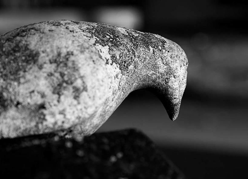 无人,横图,黑白,室外,特写,白天,旅游,度假,石头,美景,鸟,雕塑,阴影,朦胧,模糊,艺术,装饰,光线,纹路,鸟类,雕刻,雕像,石子,纹理,影子,景观,娱乐,一个,阳光,自然,动物,工艺品,享受,休闲,景色,放松,单个,纪念,美术,自然风光,主题,陈列,肌理,功能,美学,长久,久长,悠长,悠久,石块,岩石,彩图