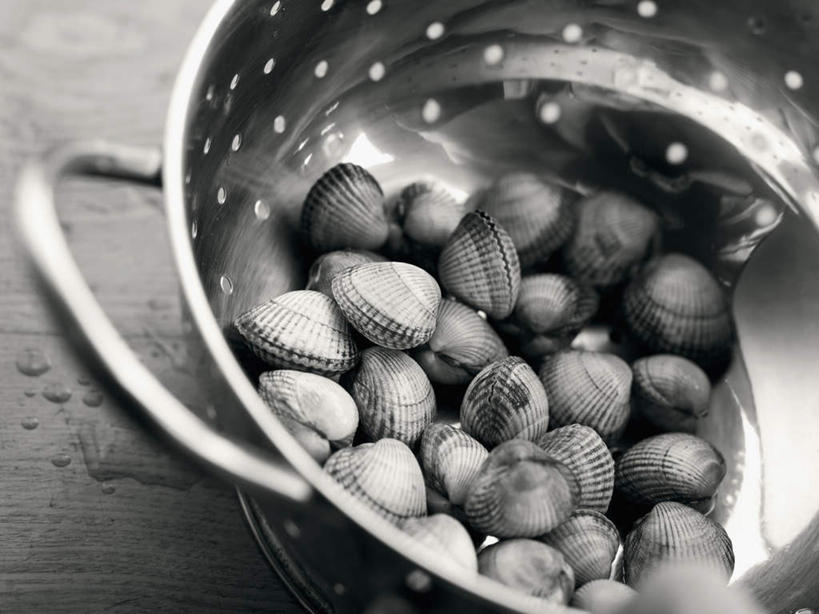 海鲜,无人,横图,俯视,黑白,室内,特写,白天,烹饪,厨具,金属制品,一堆,许多,阴影,堆叠,堆积,光线,金属,锅子,影子,美味,很多,扇贝,锅,水产,海洋生物,锅具,堆,水生动物,海产品,水生物,海底动物,烹饪用具,甘旨,厚味,鲜味,烹调用具,烹调,高角度拍摄