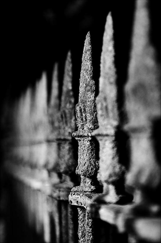 无人,栏杆,竖图,黑白,室外,特写,夜晚,正面,瑞典,欧洲,阴影,生锈,光线,铁栏,影子,围栏,护栏,墓地,腐蚀,侵蚀,坟墓,陵墓,昏暗,阴暗,斯堪的纳维亚,幽暗,北欧,斯堪的纳维亚半岛,坟场,瑞典王国,暗淡,腐化,锈迹斑斑,阴晦