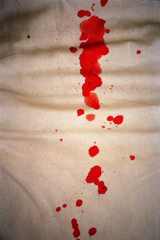 无人,家,竖图,俯视,室内,特写,白天,床,卧室,阴影,光线,血,影子,房屋,屋子,床单,被子,楼房,住宅,阳光,血液,单人床,肮脏,被单,血迹,邋遢,龌龊,污秽,血渍,彩图,高角度拍摄,房子,睡房,卧房