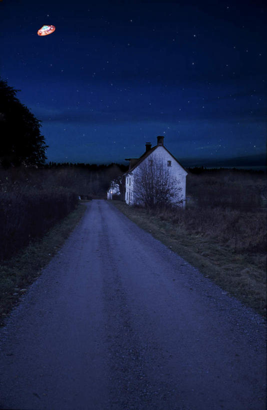 无人,家,竖图,室外,夜晚,正面,旅游,度假,草地,草坪,美景,星空,植物,道路,路,夜景,一幢,飞翔,飞行,太空船,房屋,屋子,景观,小路,交通,翱翔,娱乐,飞,楼房,住宅,草,树,树木,蓝色,绿色,蓝天,天空,自然,飞碟,天,享受,休闲,景色,放松,生长,成长,自然风光,星夜,夜空,彩图,房子