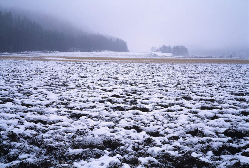 无人,横图,室外,白天,正面,美景,森林,树林,雪,植物,雾,大雪,瑞典,欧洲,覆盖,朦胧,模糊,平静,积雪,景观,乌云,雪景,云,阴天,云朵,冬季,冬天,云彩,树,树木,绿色,天空,自然,天,包围,景色,安静,寒冷,生长,成长,宁静,迷雾,昏暗,阴沉,斯堪的纳维亚,静谧,自然风光,北欧,斯堪的纳维亚半岛,严寒,沉静,笼罩,恬静,安祥,僻静,清静,太平,瑞典王国,大雾,彩图