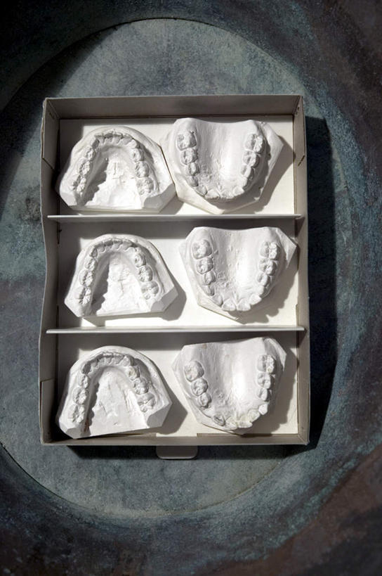 牙齿,无人,竖图,俯视,室内,特写,白天,白色背景,静物,一排,整齐,纸盒,盒子,排列,包装盒,摄影,影棚,队列,假牙,活动假牙,义齿,齿,牙,牙龈,彩图,高角度拍摄,影棚拍摄,拍摄