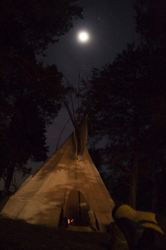 无人,竖图,室外,夜晚,仰视,旅游,度假,植物,吊挂,悬挂,阴影,光线,影子,帐篷,月亮,月光,挂,娱乐,树,树木,黄色,天空,阳光,天,享受,休闲,放松,黑暗,生长,成长,明亮,漆黑,露营,野营,宿营,一顶,皎洁,阴郁,彩图,低角度拍摄,一轮
